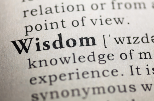 A dictionary entry for the word "wisdom." Though the full definition is not visible, words that are visible include "knowledge" and "experience."